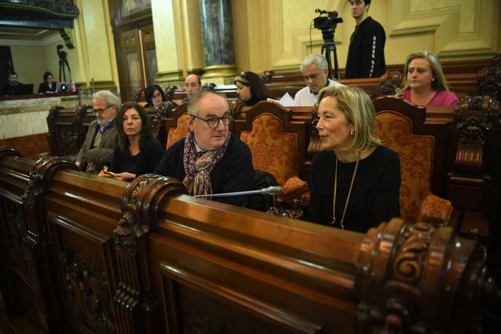 Pleno en A Coruña (11/12/2018)