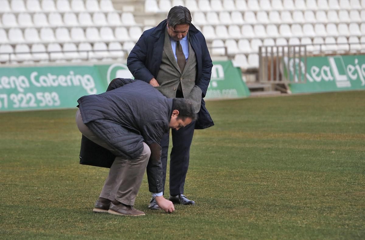 Finalizan los trabajos de colocación del nuevo cesped en El Arcángel