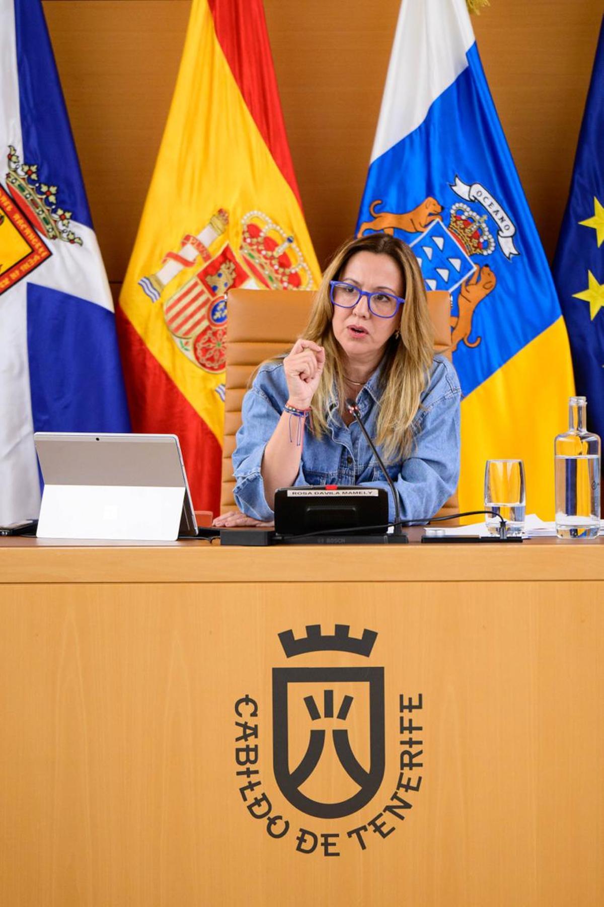 Rosa Dávila durante el pleno de ayer