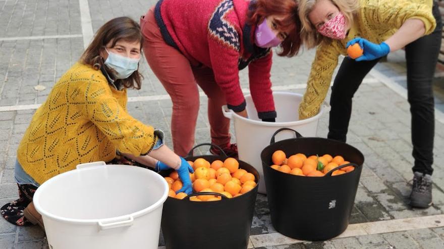 Canamunt, el barrio que hace mermelada con las naranjas cultivadas en sus plazas