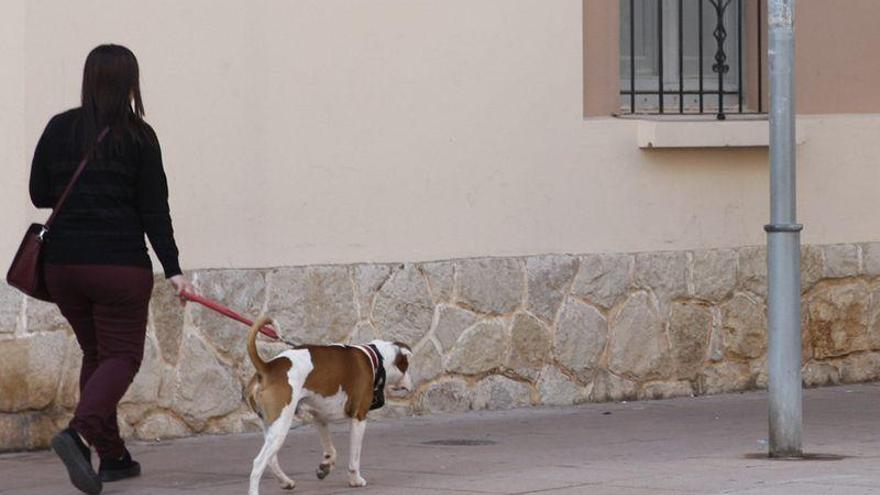 Los vecinos piden priorizar el censo de ADN para perros el próximo año