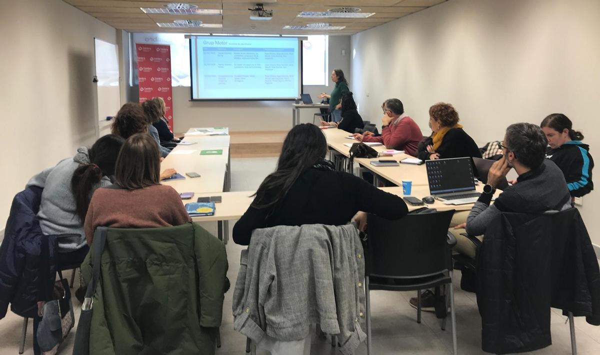 Plenària anual de la Taula de Salut Mental del Berguedà