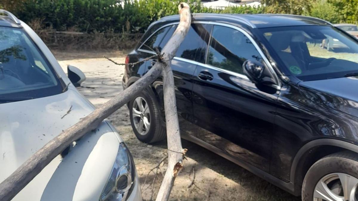 Una rama cae sobre dos coches en El Puente | ARACELI SAAVEDRA
