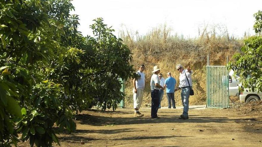 Imagen de un camino rural.