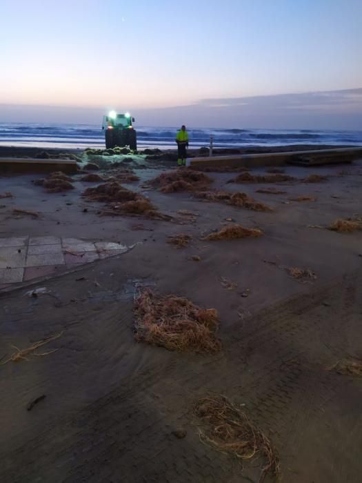 Daños por el temporal en El Campello