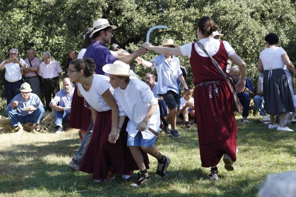 Festa del Segar i el Batre a Avià