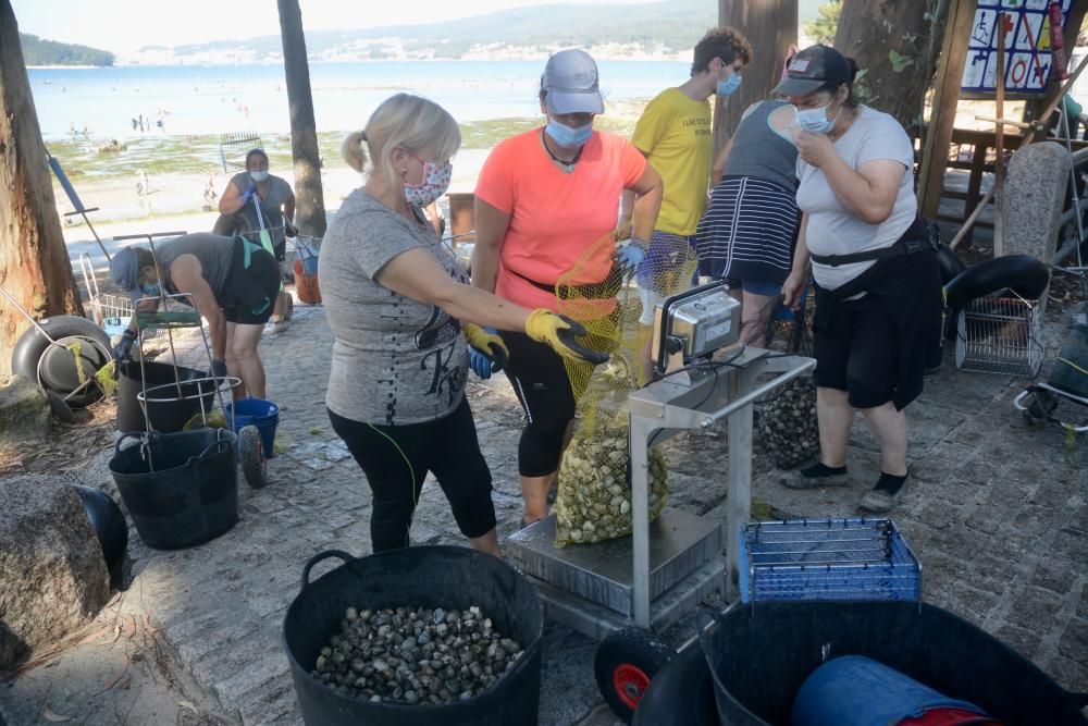 El marisqueo regresa a la ría de Pontevedra tras cuatro meses de parón