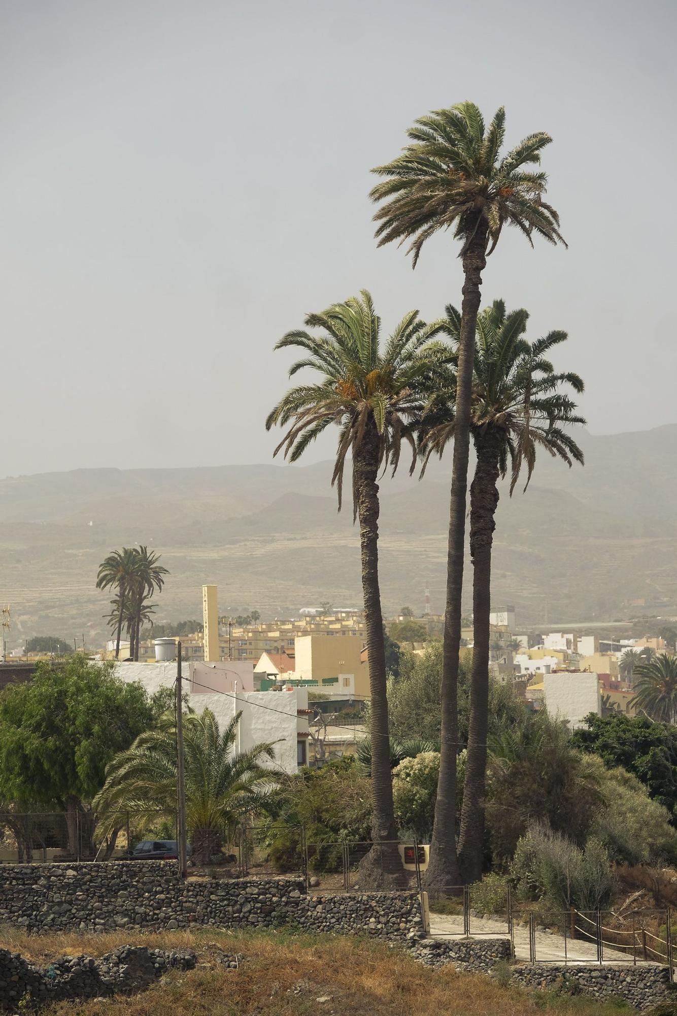 Tiempo en Gran Canaria (11/04/23)