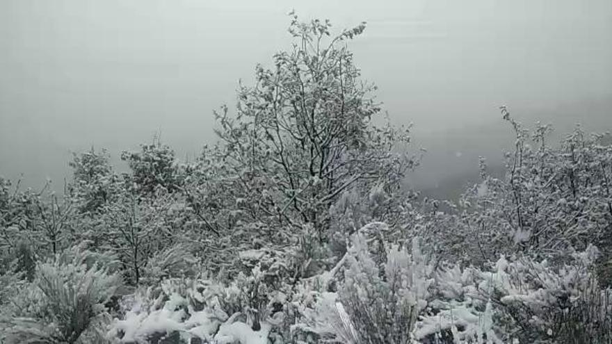 La nieve cubre la carretera de la Laguna de los Peces