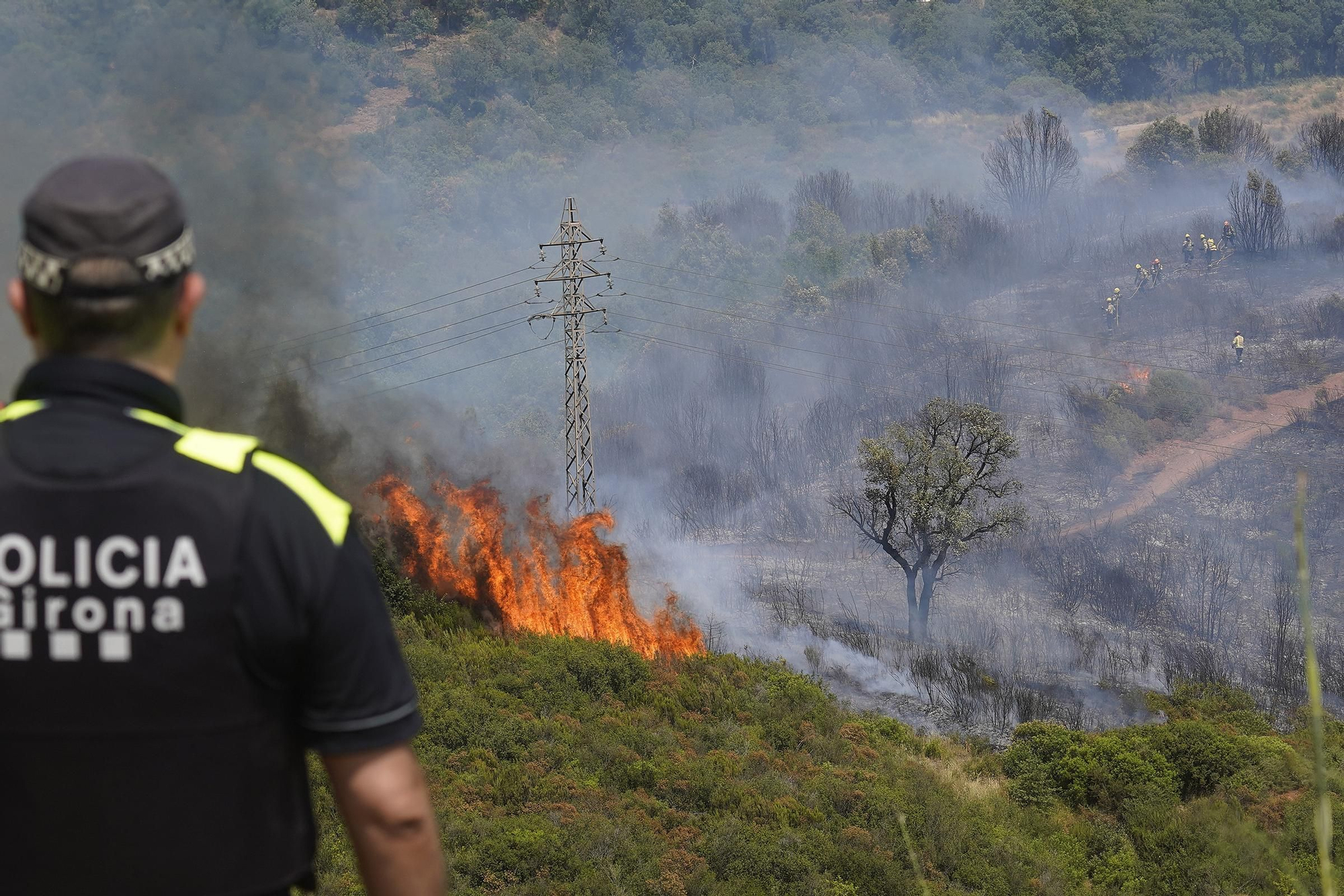 Les flames han cremat a la zona del Polvorí.
