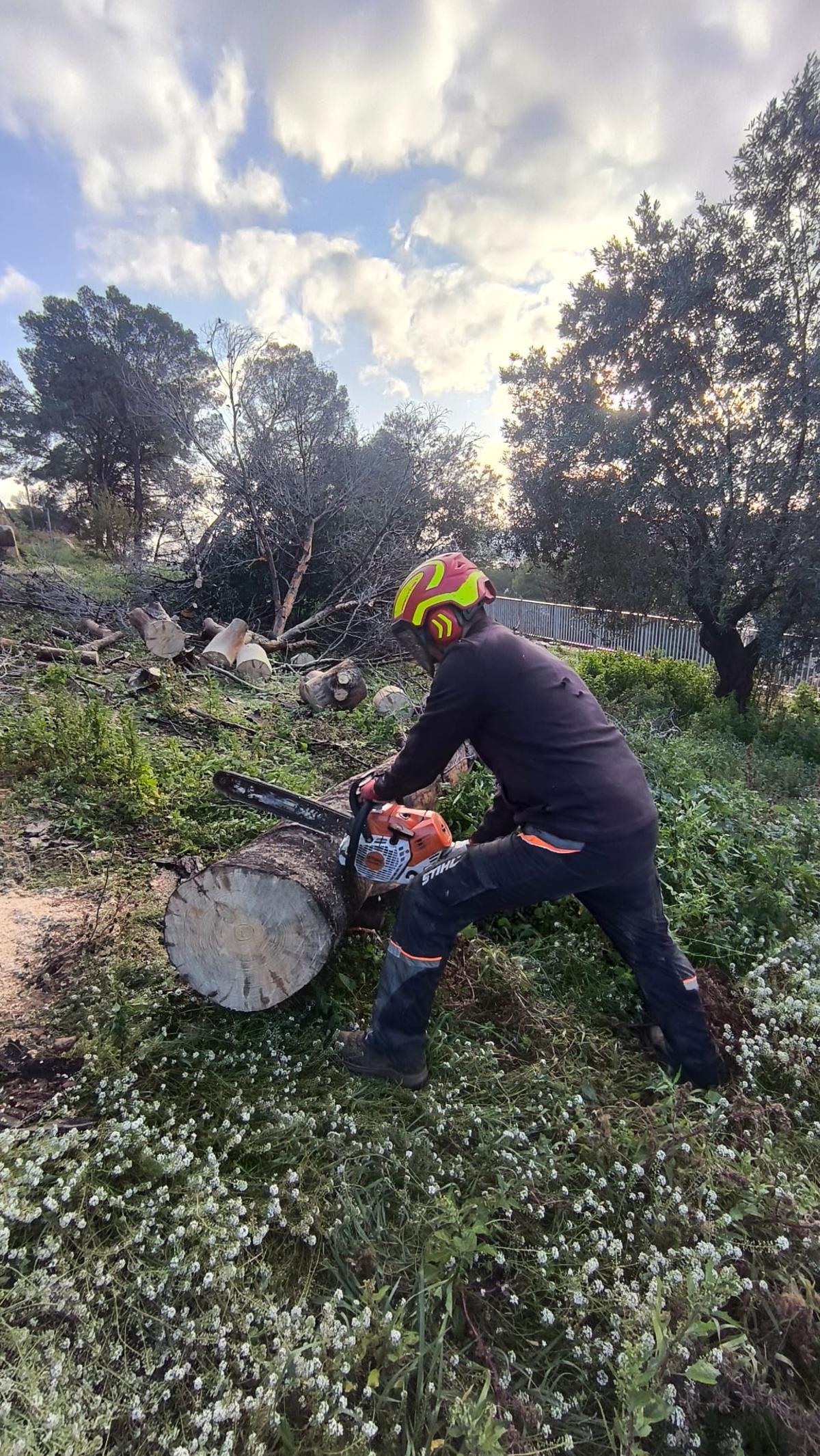 Otra imagen de los trabajos forestales