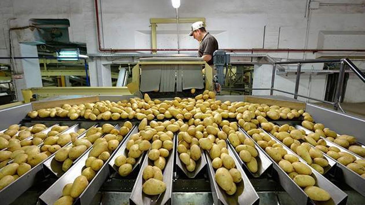 Instalacoines de Patatas Gómez, una de las pymes aragonesas que más crecen.