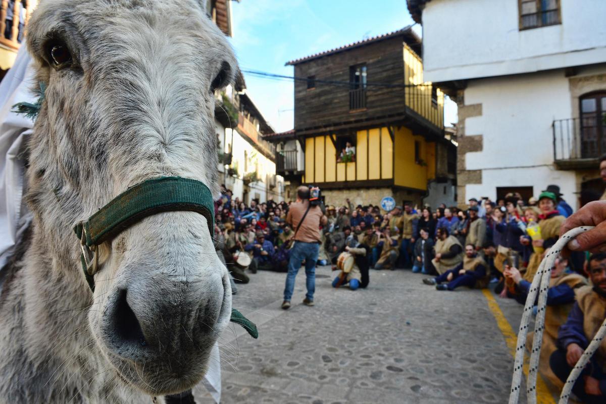 El burro del Peropalo.