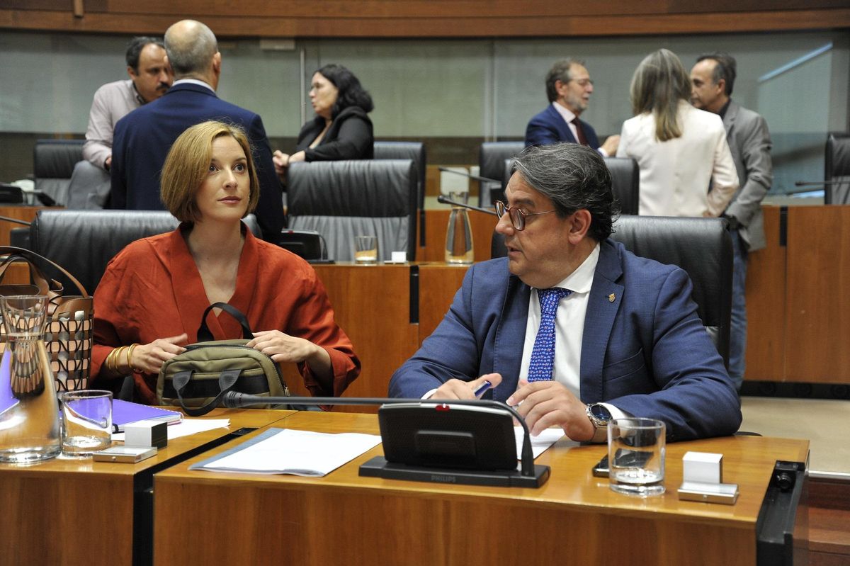 Los diputados socialistas José María Verges y Ana Fernández.