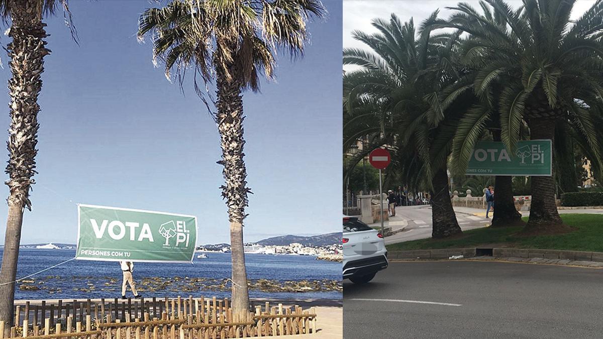 Retiran una pancarta de El Pi colgada entre dos palmeras en Palma