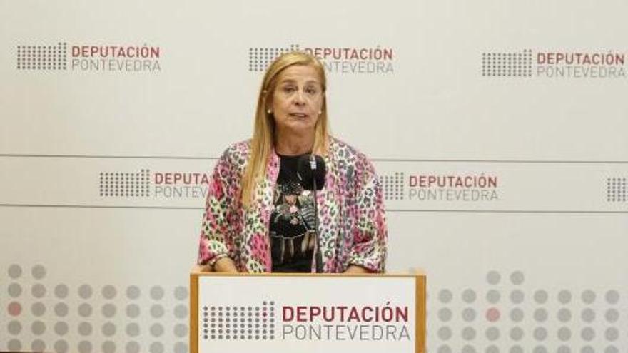 La presidenta de la Diputación, Carmela Silva, explicó la intervención.