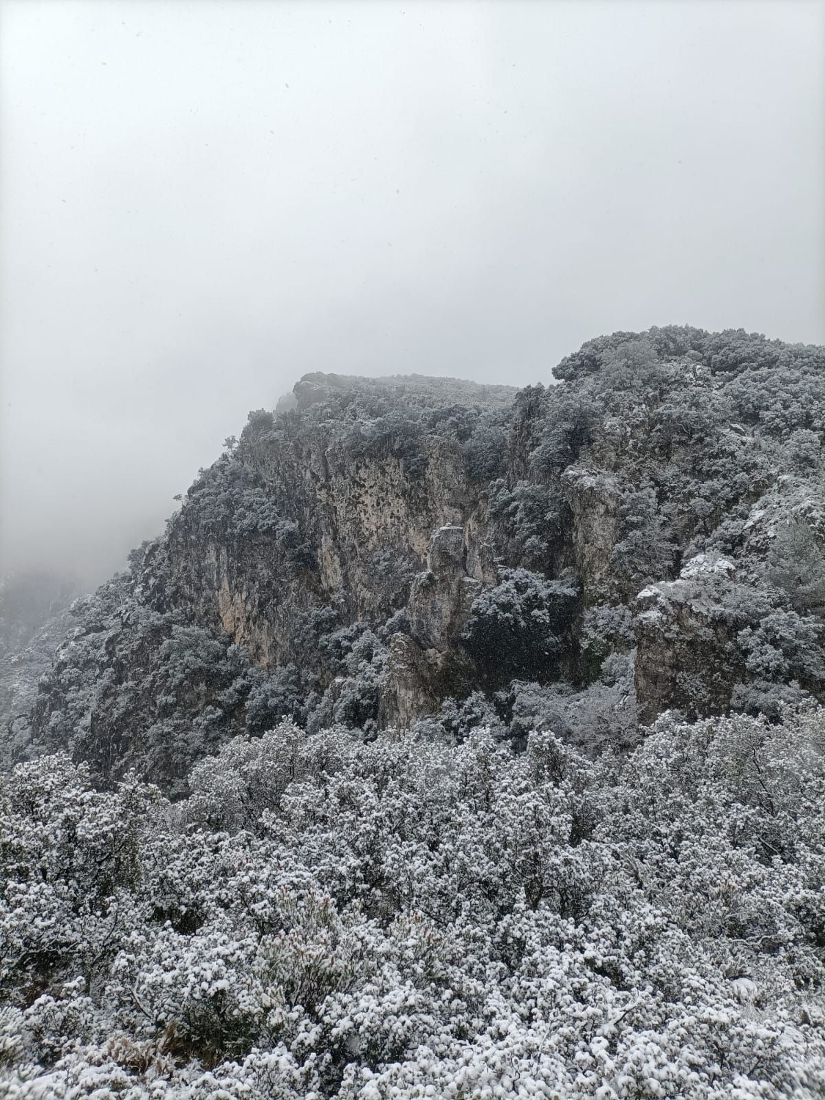 Primeras nieves en La Safor