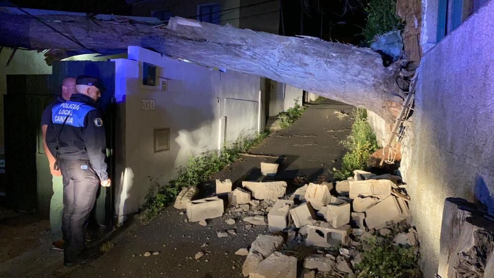 Las fuertes rachas de viento desde la noche del sábado han causado múltiples incidencias en todas las Islas, especialmente Tenerife y La Palma.