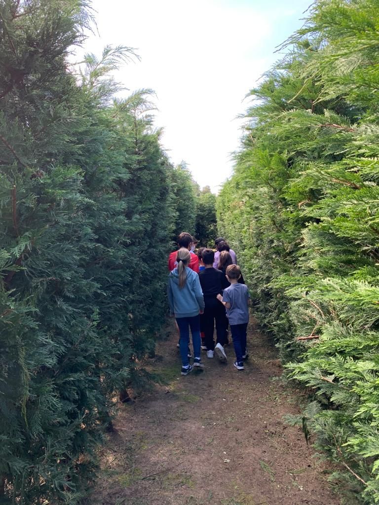 Un laberinto vegetal en Llanes aspira a ser el mayor de España