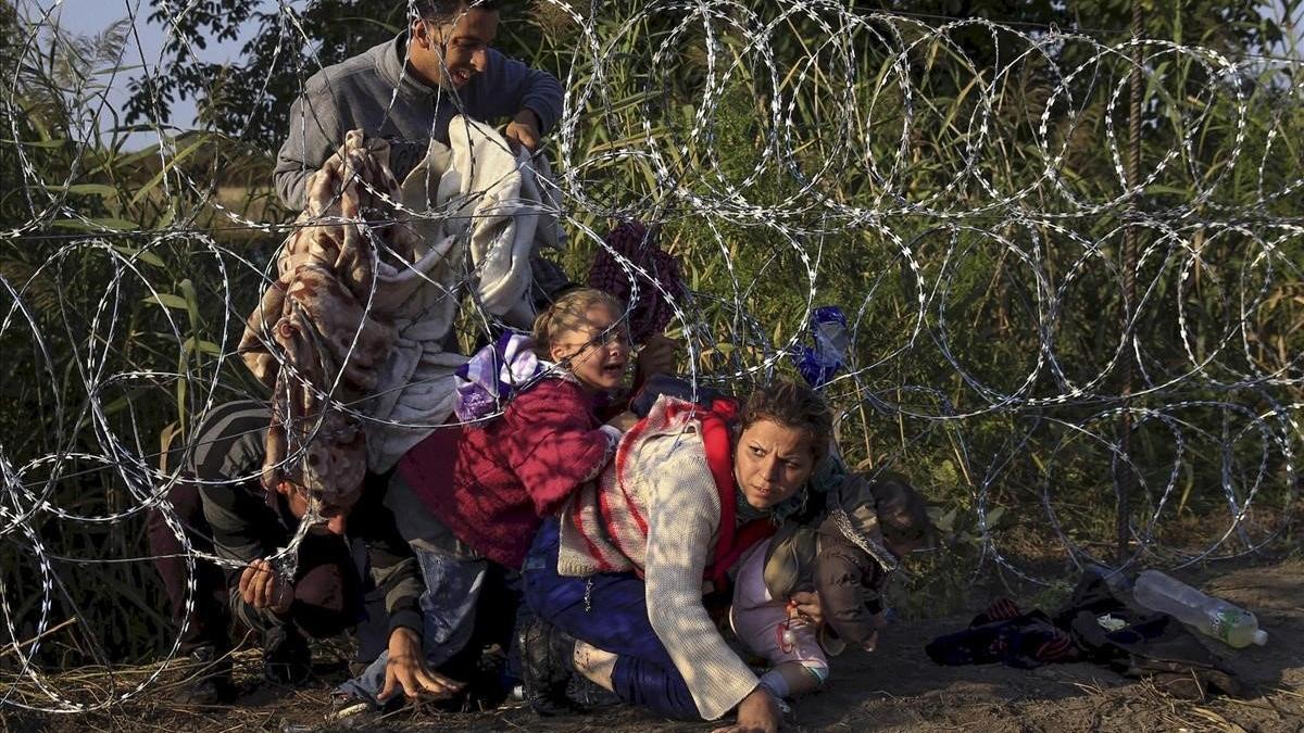 Migrantes sirios cruzan una alambrada de concertinas en la localidad húngara de Röszke, en la frontera con Serbia.