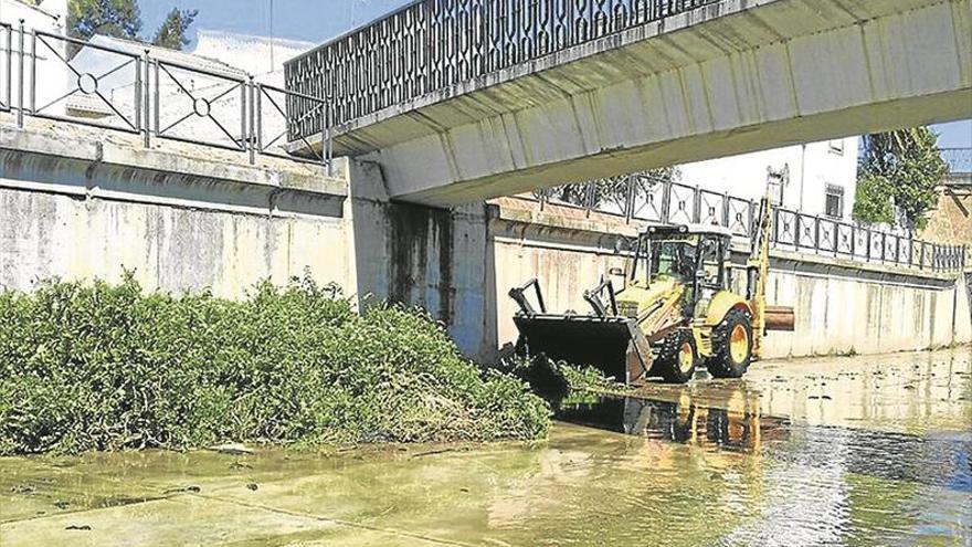 El Ayuntamiento de Mérida limpiará desechos del Albarregas ante las quejas vecinales