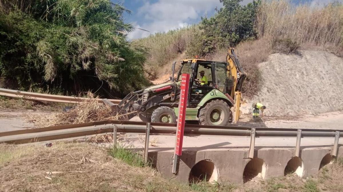 Torrent neteja de canyes el barranc de l'Horteta de cara a una possible DANA.