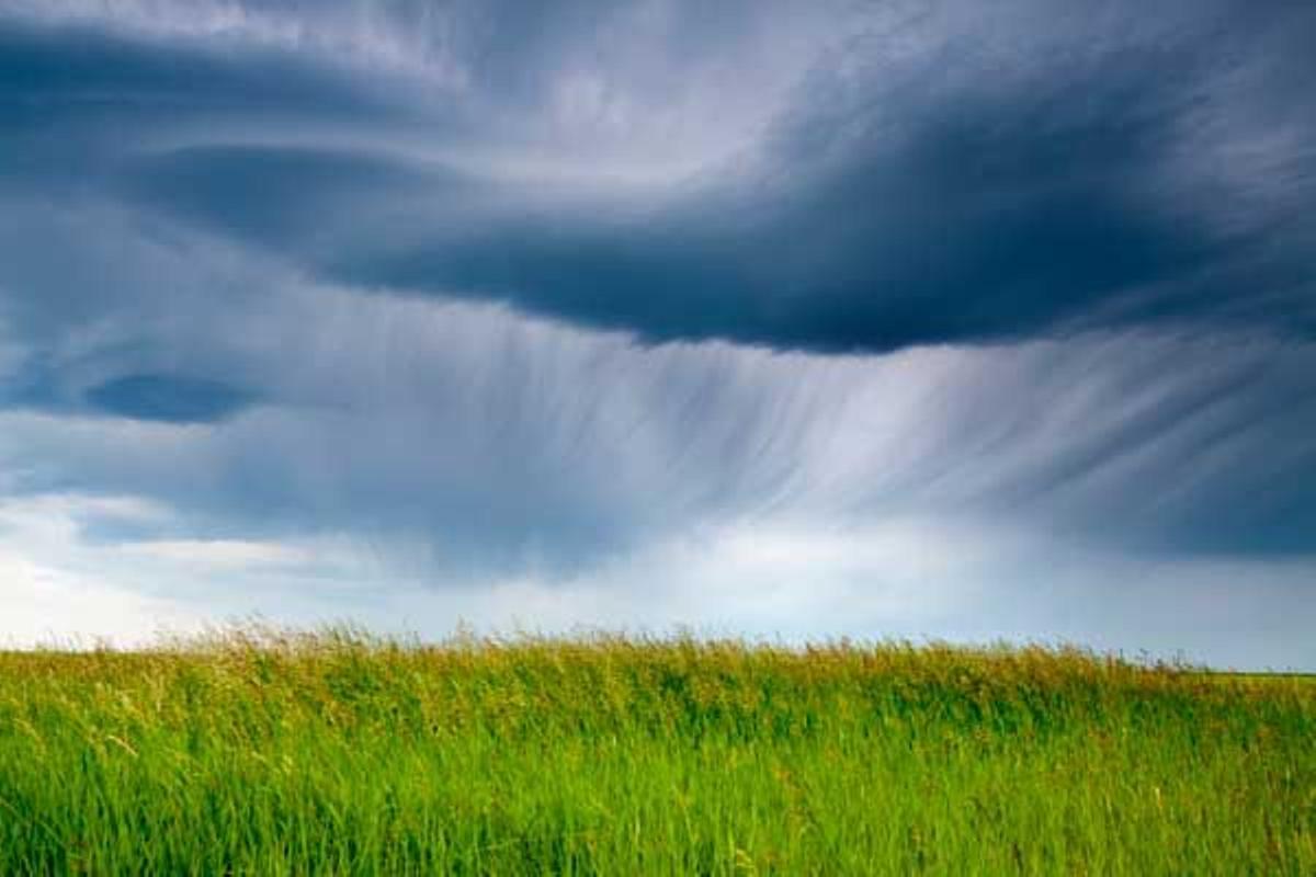 Al sur de la provincia Saskatchewan se ubican las Llanuras Interiores de Canadá.