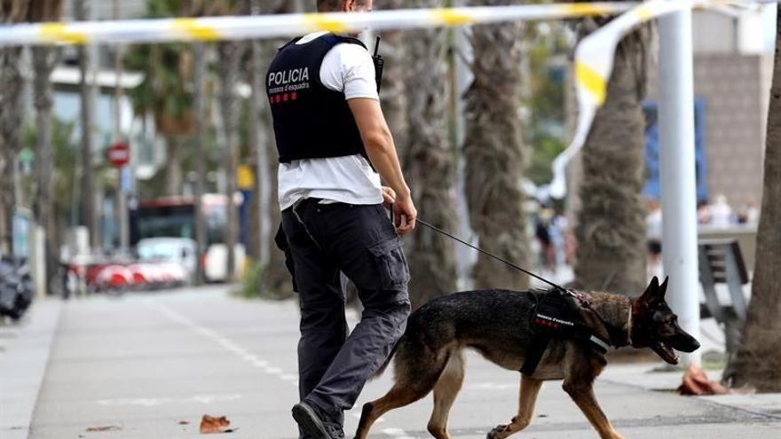 Los Mossos rastrean de madrugada Manlleu y Ripoll en busca del terrorista huido