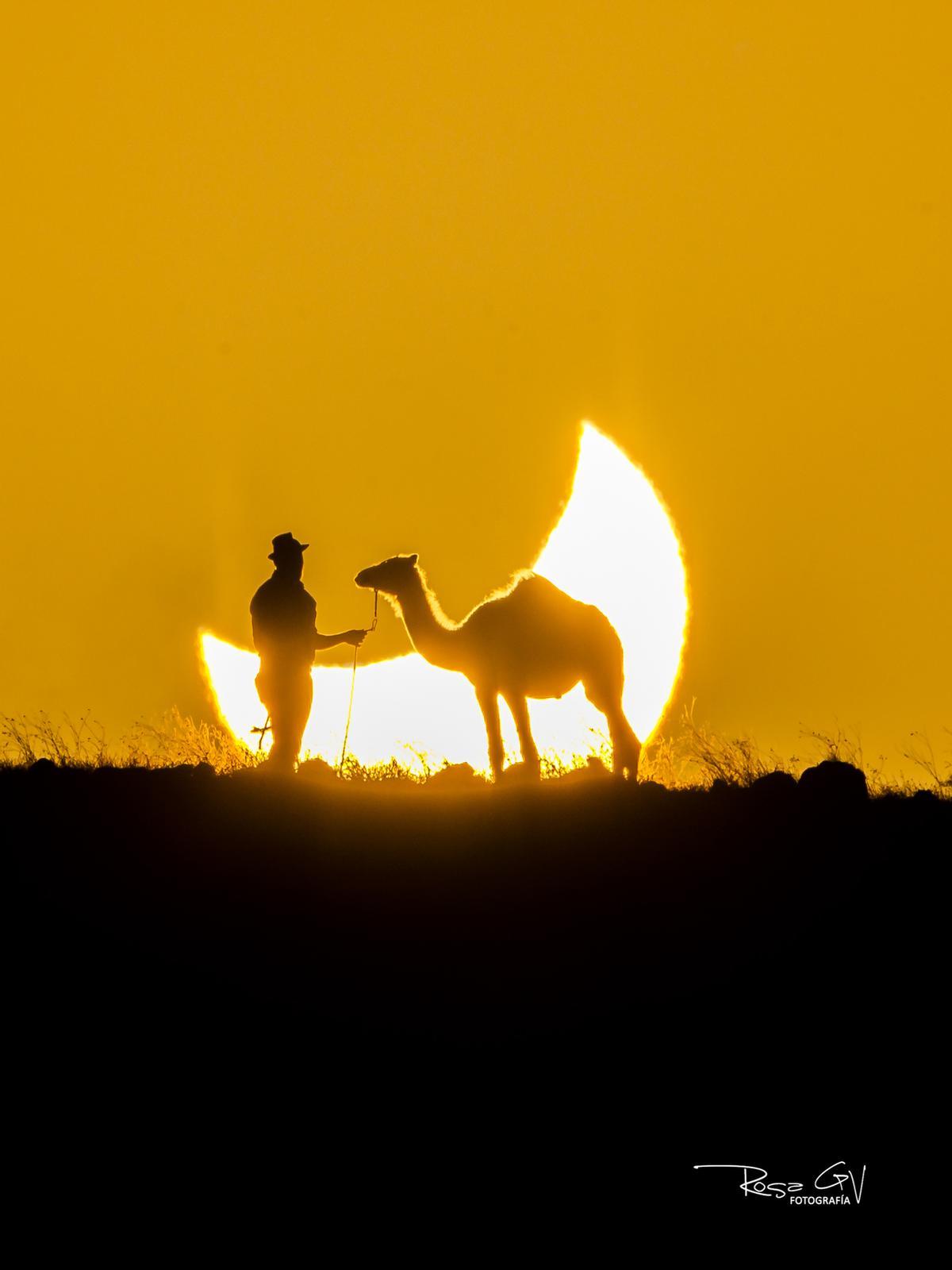 Eclipse solar con camello en Lanzarote