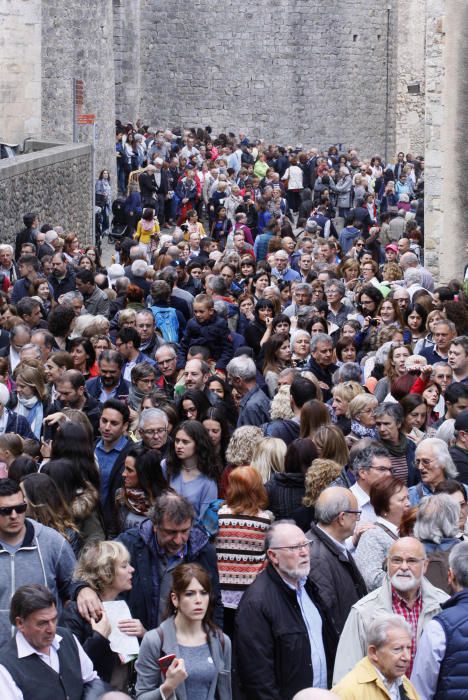 Girona floreix amb «Temps de Flors»