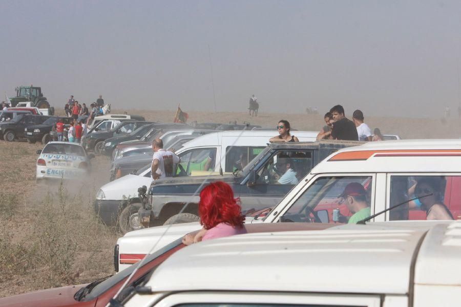 Fiestas en Zamora: Encierro en Villalpando