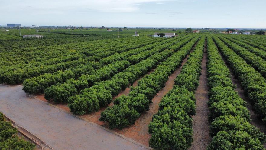 El campo planta cara a los parques solares en zonas de alto valor agrario