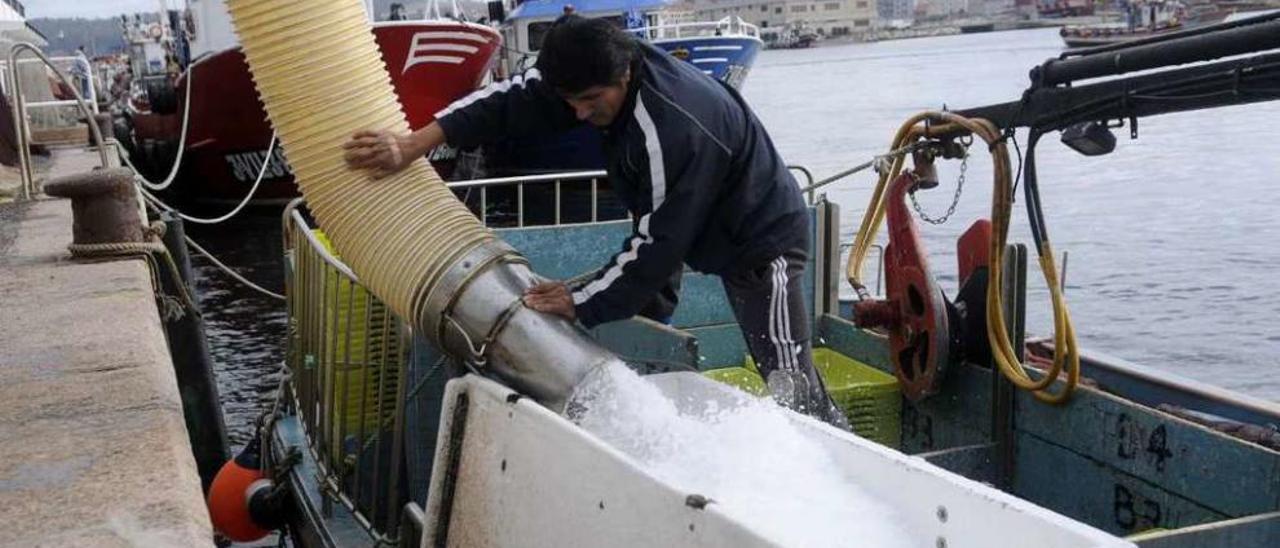 Un marinero de cerco preparando el barco antes de su salida de puerto. // Noé Parga