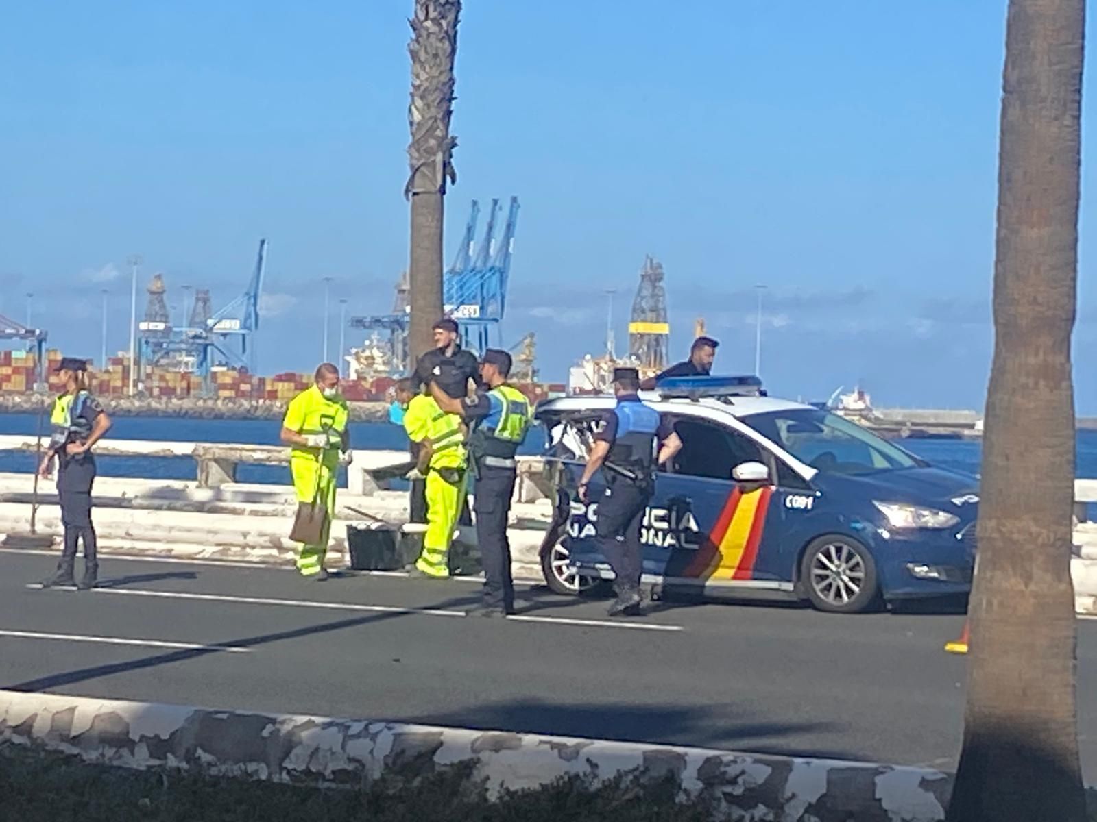 Así fue el accidente entre un coche de policía y un taxi en la Avenida Marítima