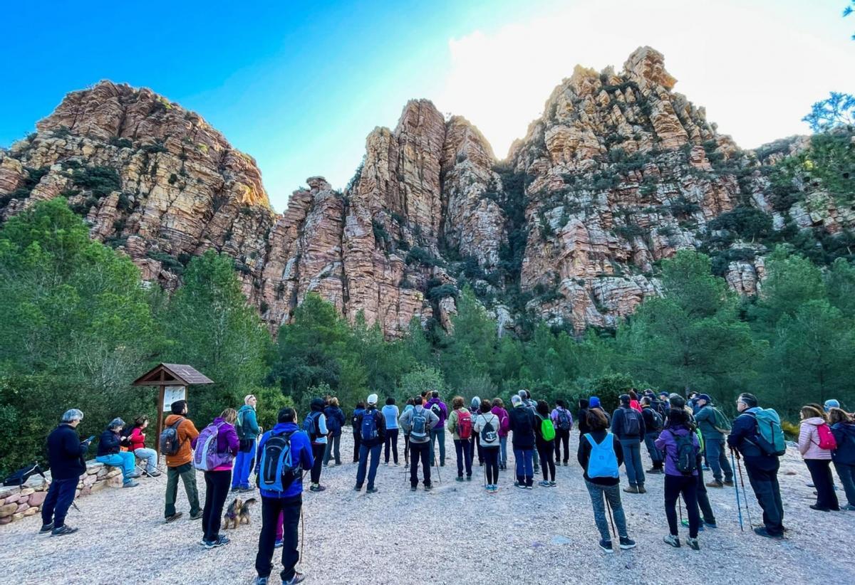 Una de las rutas guiadas organizadas por la Diputación.