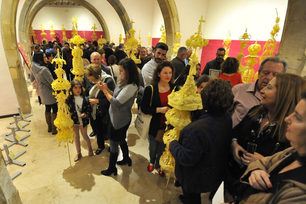 Premiados en el concurso de Palma Blanca