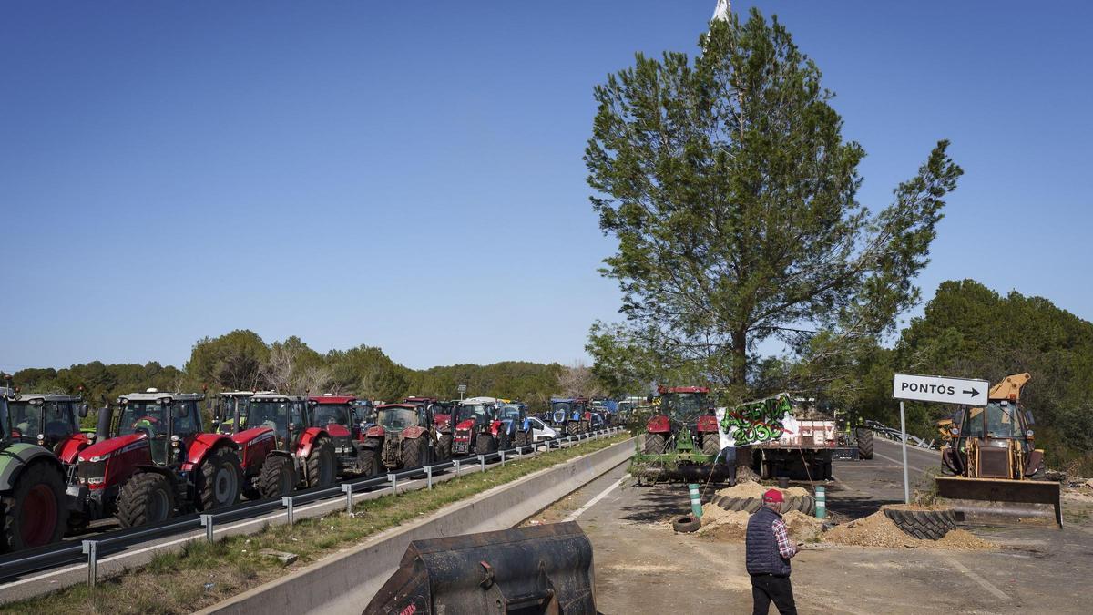Agricultores de Girona acogen con reticencias resultado de reunión con Generalitat y plantan un pino en la autopista AP-7 a la altura de Pontós.