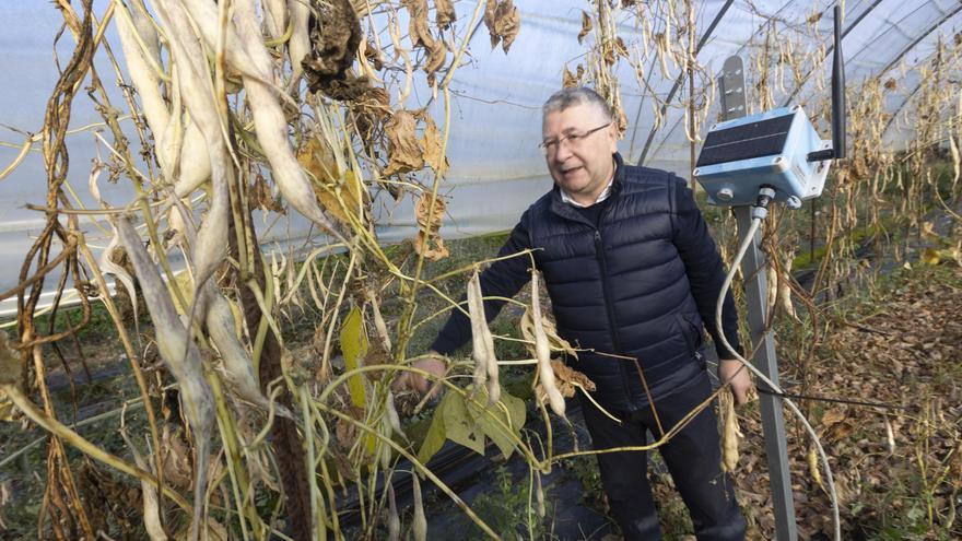 Los últimos avances sobre genética y producción vegetal centran un ciclo de conferencias del RIDEA en Llanera