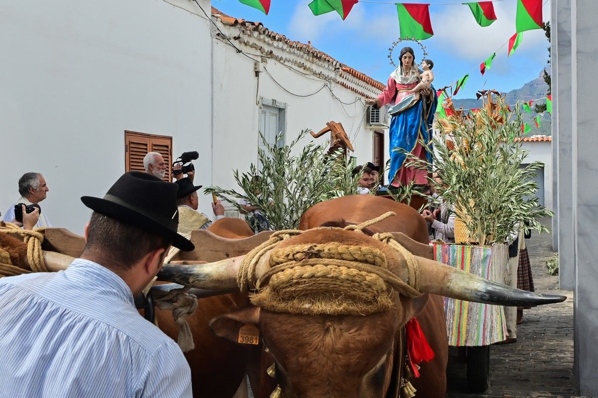 Romería Labradores 2022