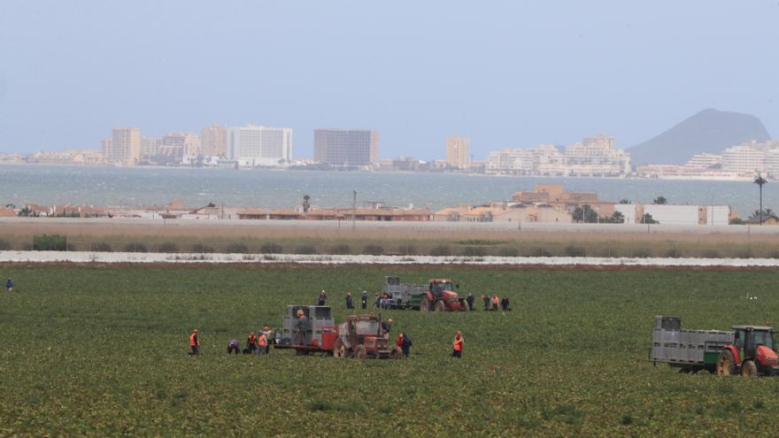 Los regantes del Campo de Cartagena apuran el plazo para evitar el corte del riego