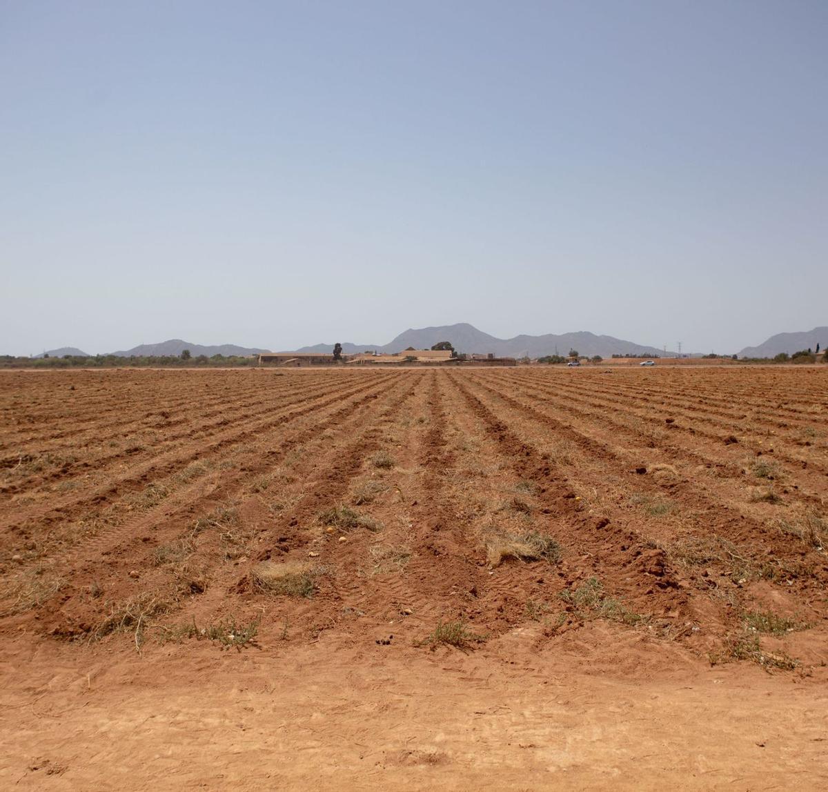 Bancal abandonado en la diputación de Santa Ana , en el municipio de Cartagena.