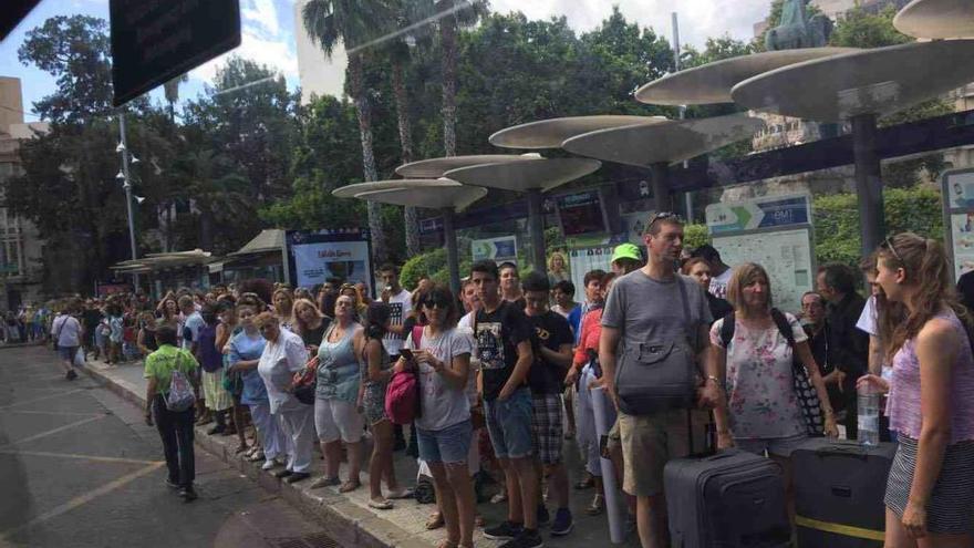 Decenas de turistas hacen cola en el centro de Palma, este verano, para subir al autobús