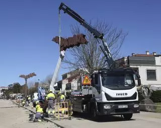 Setga llevará hasta Carril las «sea birds» del paseo marítimo