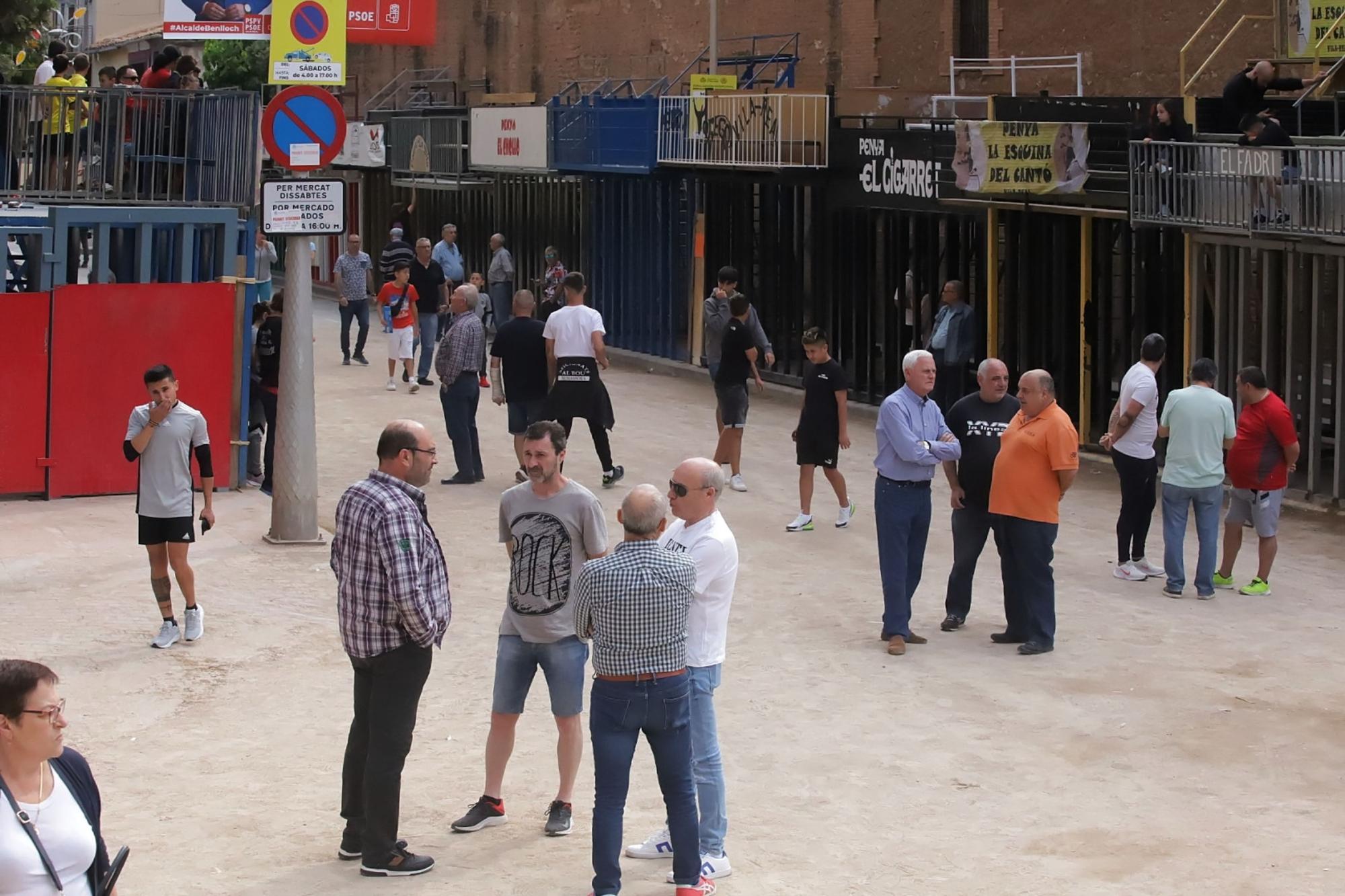 Las imágenes de la séptima jornada de las fiestas de Sant Pasqual del 2023 en Vila-real