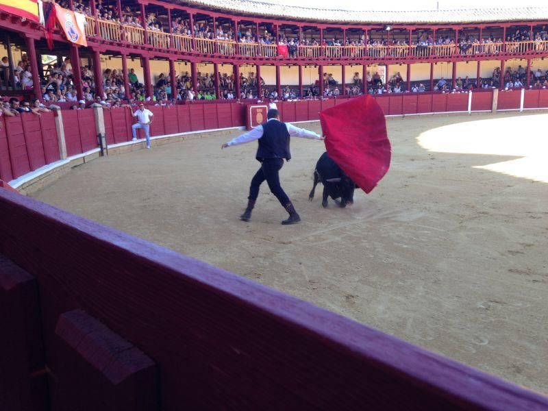 Fiestas en Toro | Becerrada de las peñas