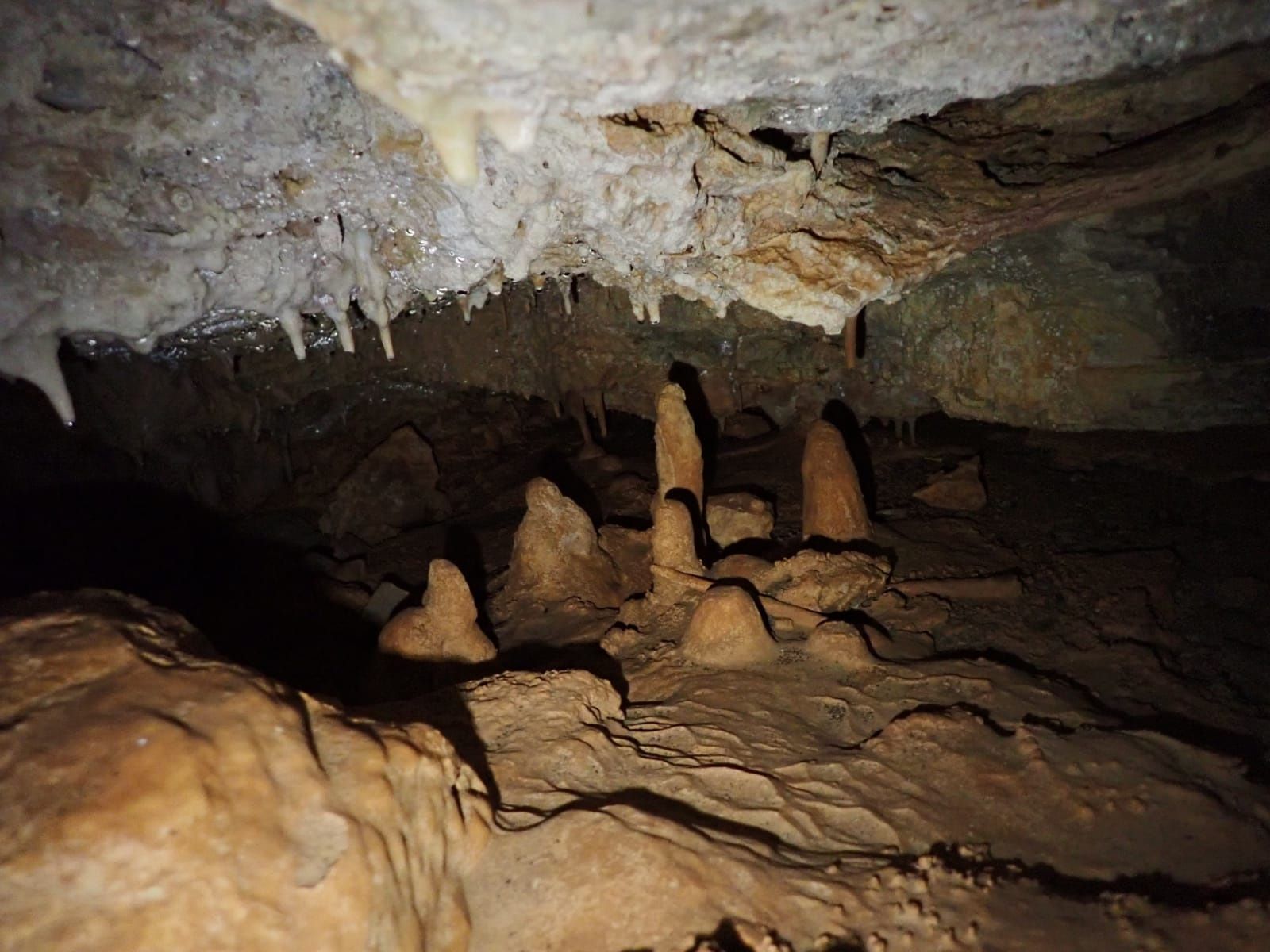 Explora la cueva que escondía el último descubrimiento arqueológico de Castellón