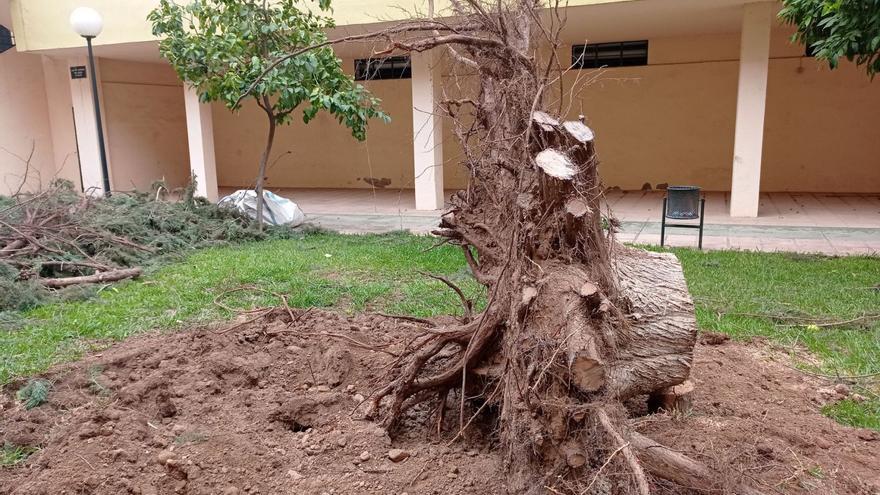 Hacia un nuevo modelo de jardinería