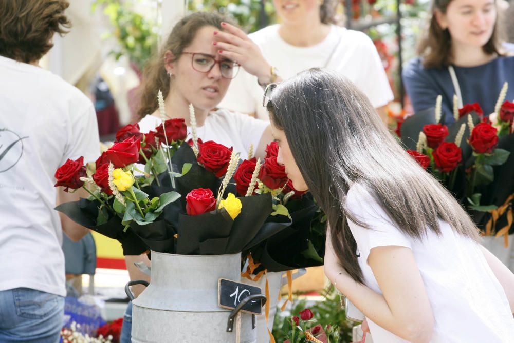 Sant Jordi a Girona