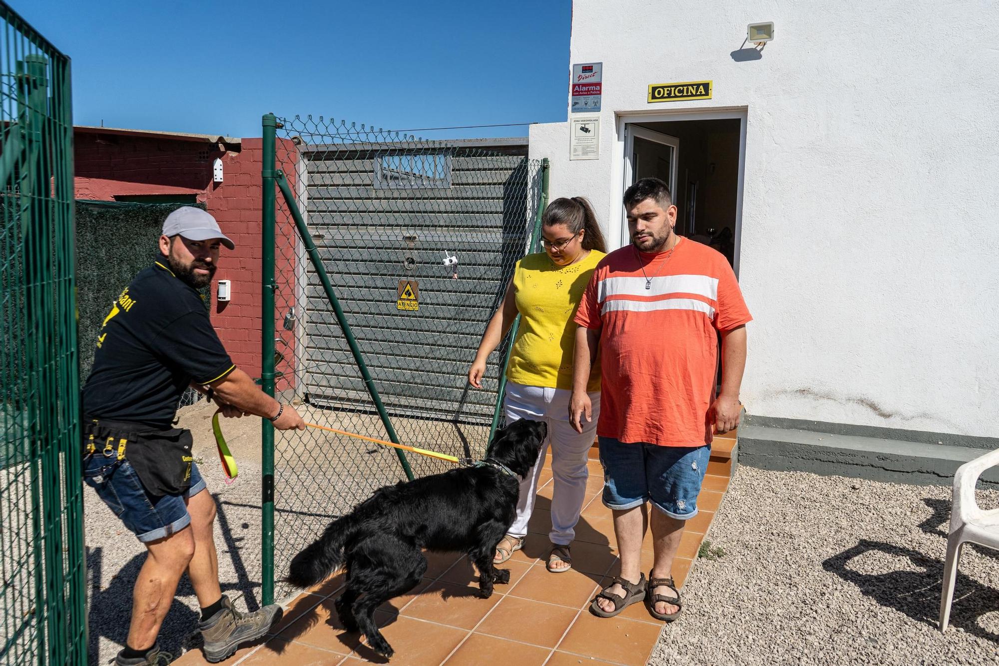 Residències canines: Centre Caní Jonatan Zafra, a Sant Fruitós de Bages