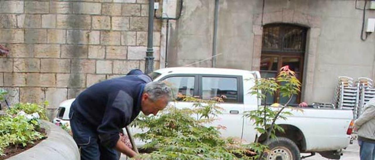 Los operarios, colocando las flores en Infiesto.